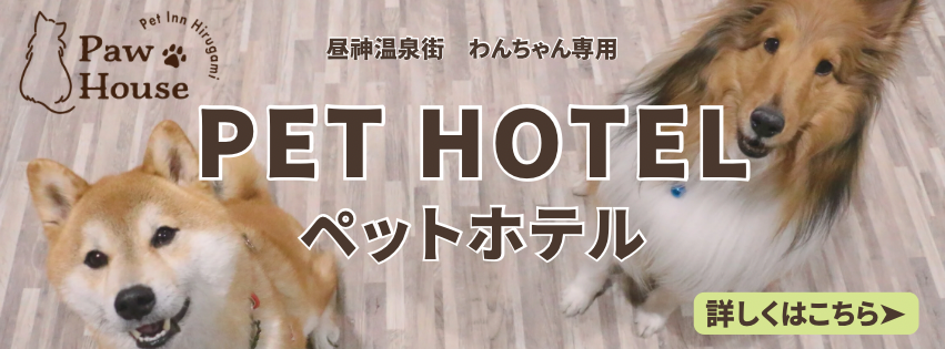 長野県昼神温泉ペットホテル